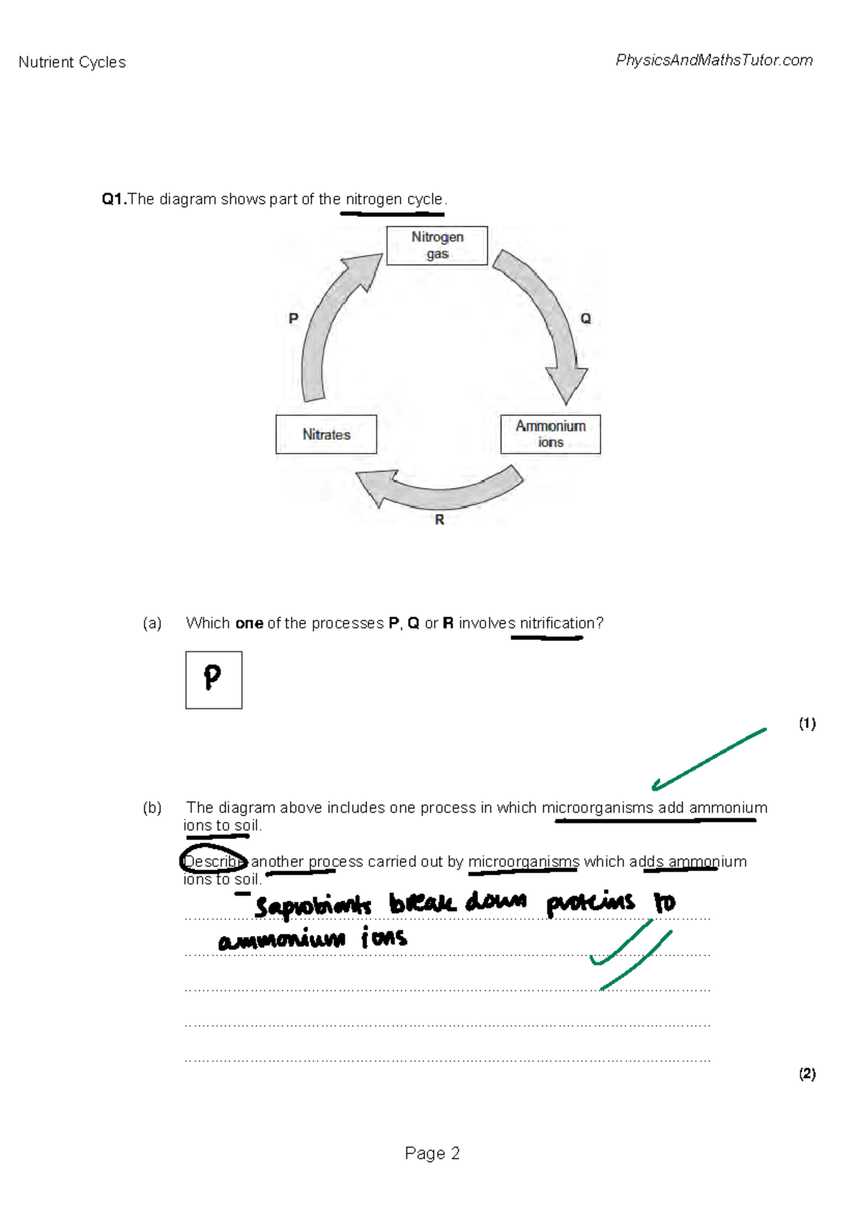5.4 Nutrient Cycles QP - Nitrogen Cycle and Crop Yields Insights - Studocu