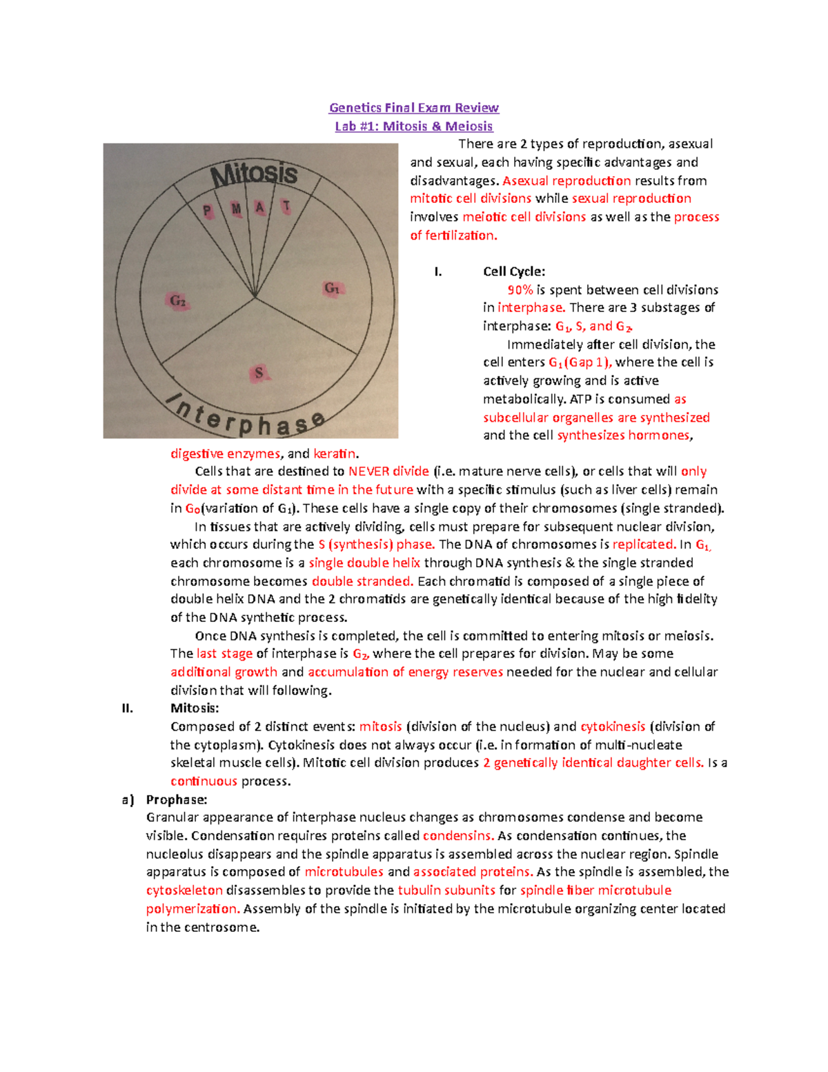 BIO 2301 - Final Exam Review: Genetics and Cell Division - Studocu