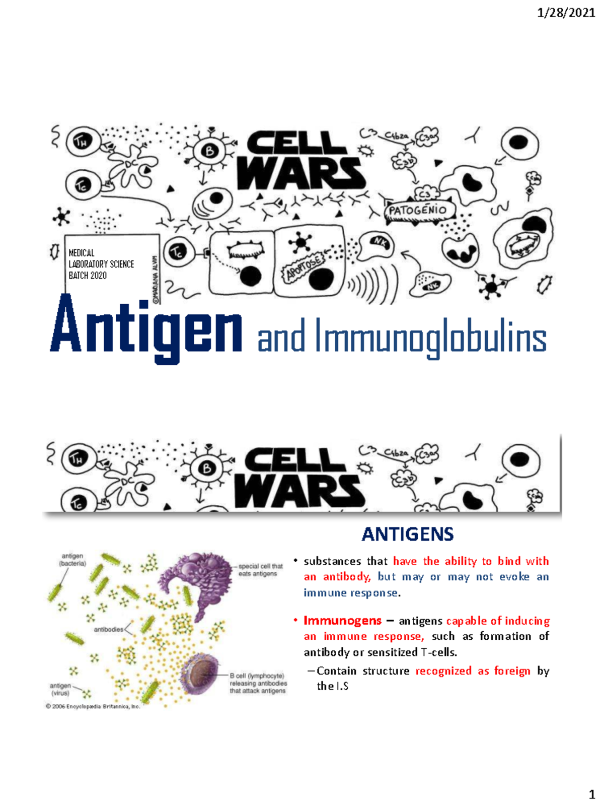 MEDICAL LABORATORY SCIENCE BATCH 2020 Antigens and Antibodies Overview ...