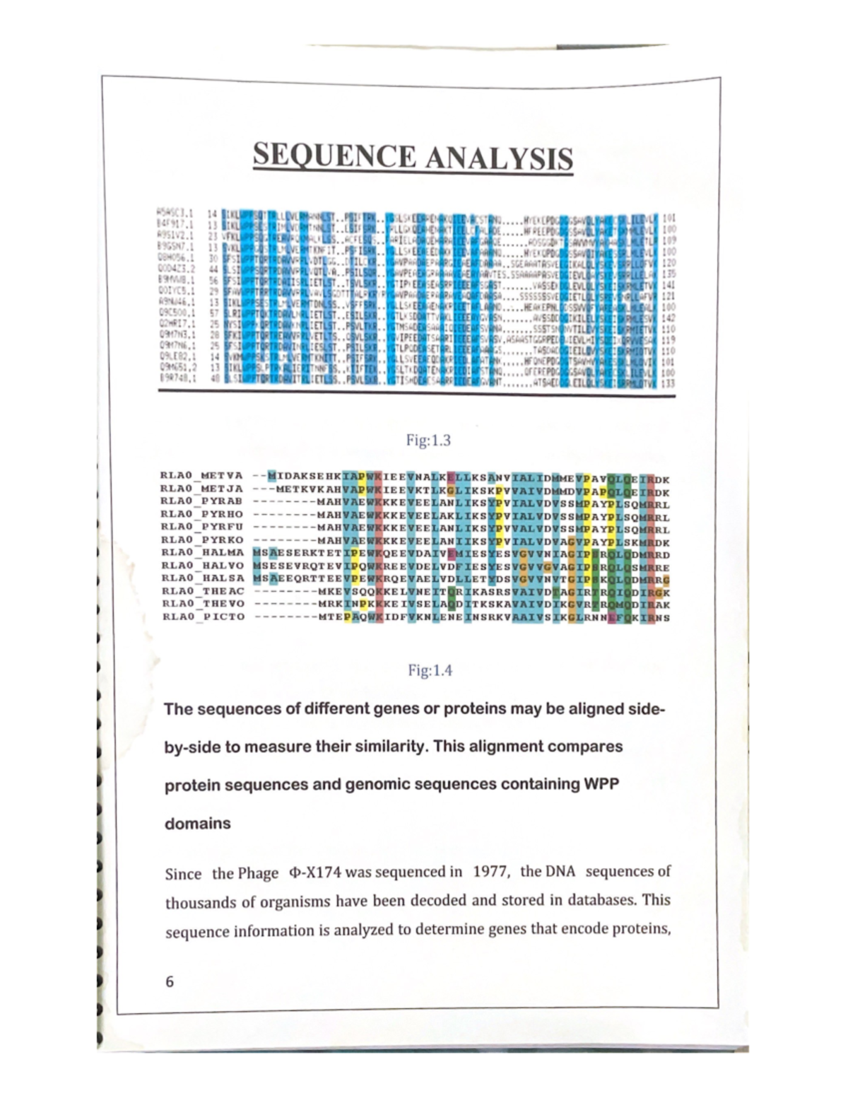 Bioinformatics Project Report: Analysis and Findings - Studocu