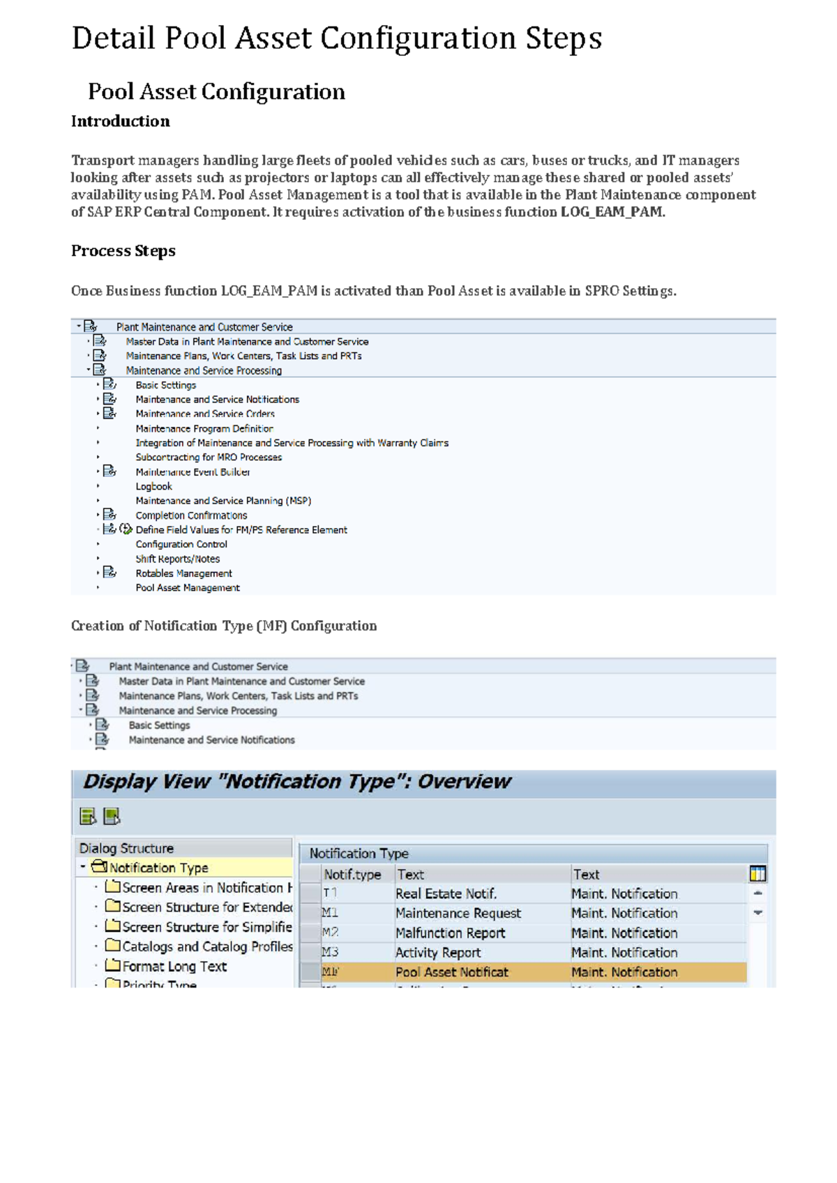 PAM Configuration Steps for Pool Asset Management in SAP - Studocu