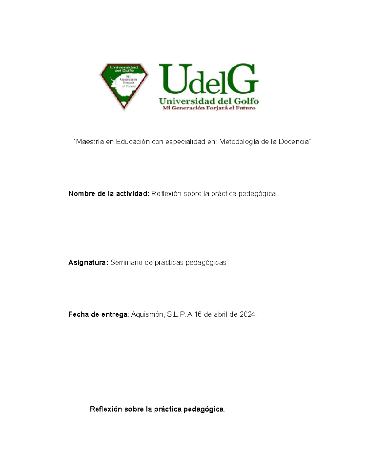 Reflexión sobre la Práctica Pedagógica en el Seminario de Prácticas ...