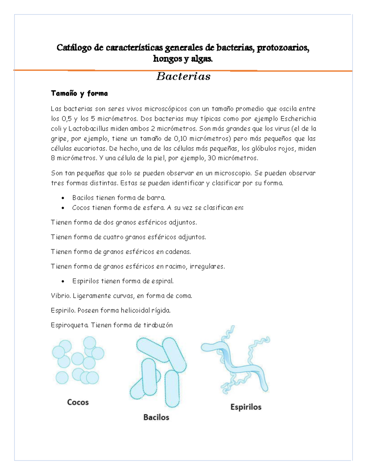 Catálogo de Características Generales de Bacterias y Microorganismos -  MICROBIOLOGIA - Studocu