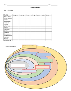 Pogil Phylogenetic Trees OLA - Name per Phylogenetic Trees How do the ...