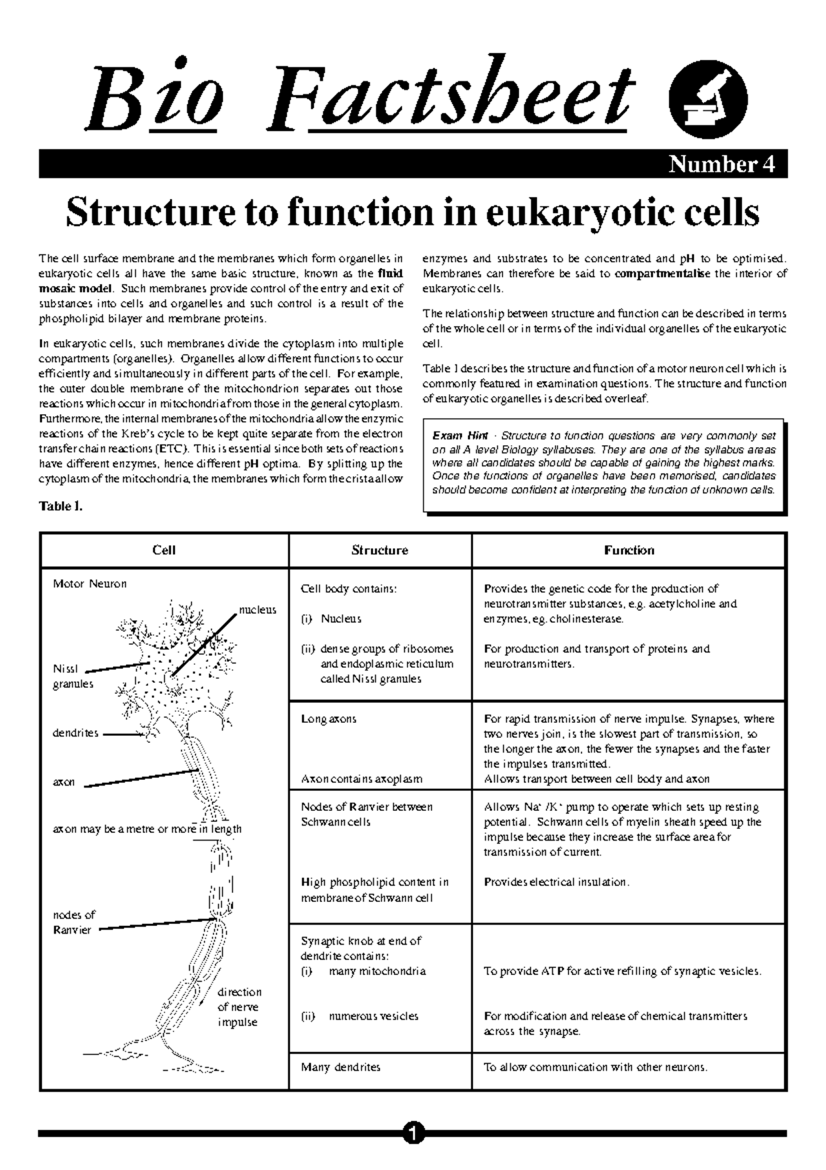 Structure to Function in Eukaryotic Cell - Bio Factsheet September 1997 ...