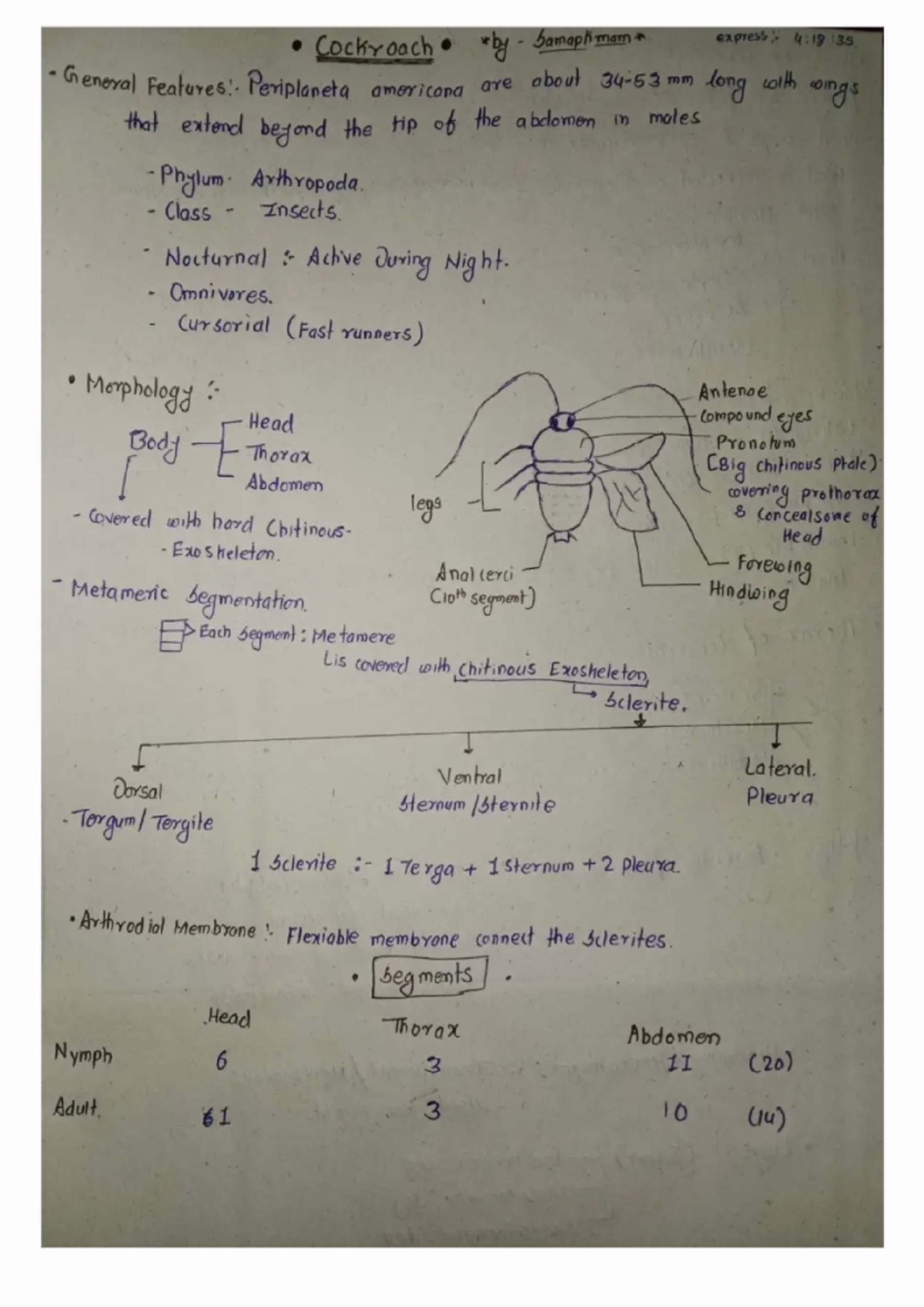 Cockroach Anatomy and Physiology: A Detailed Study (KARMA) - Studocu