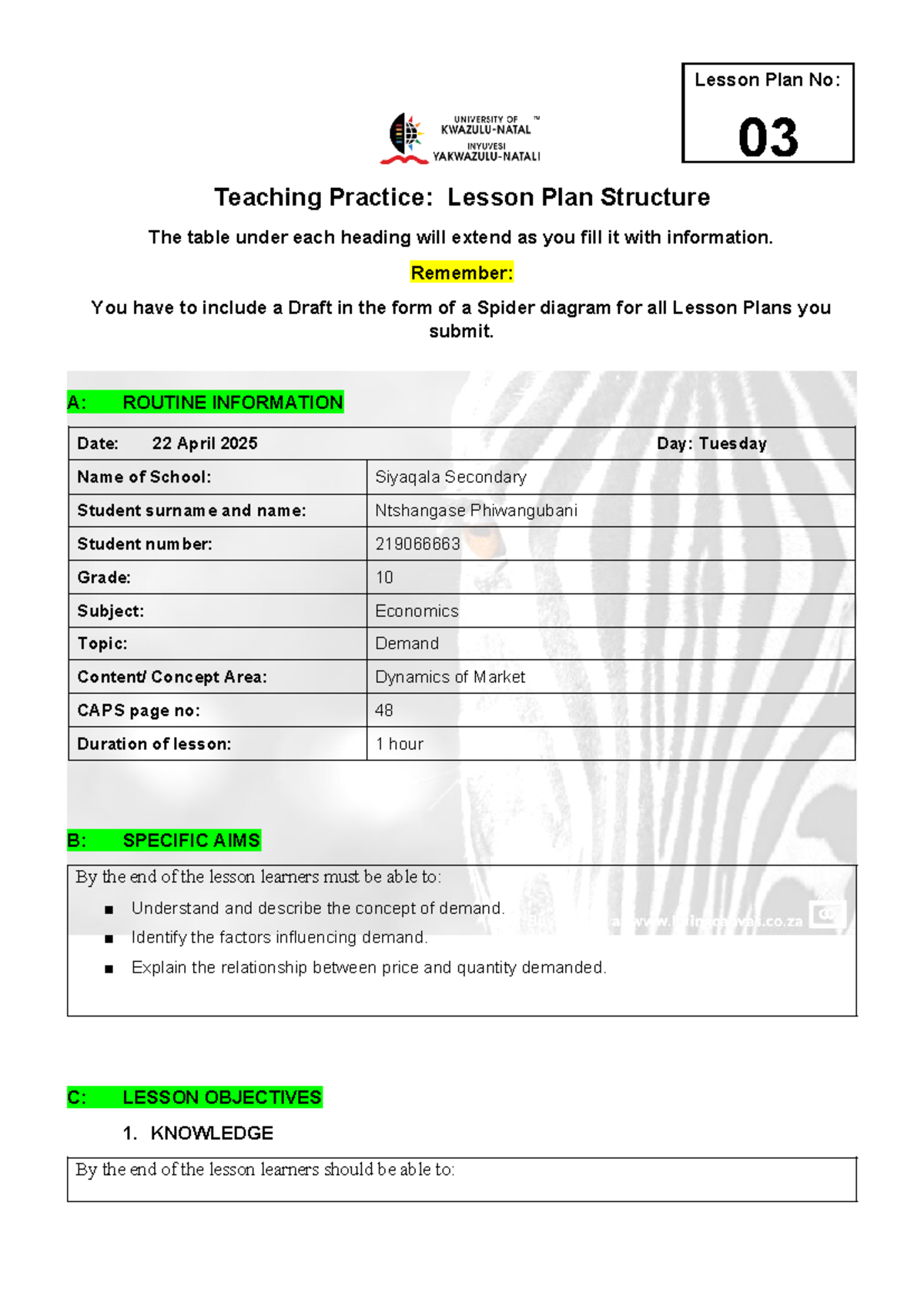 Grade 10 Economics Lesson Plan No: 03 - Understanding Demand Dynamics ...