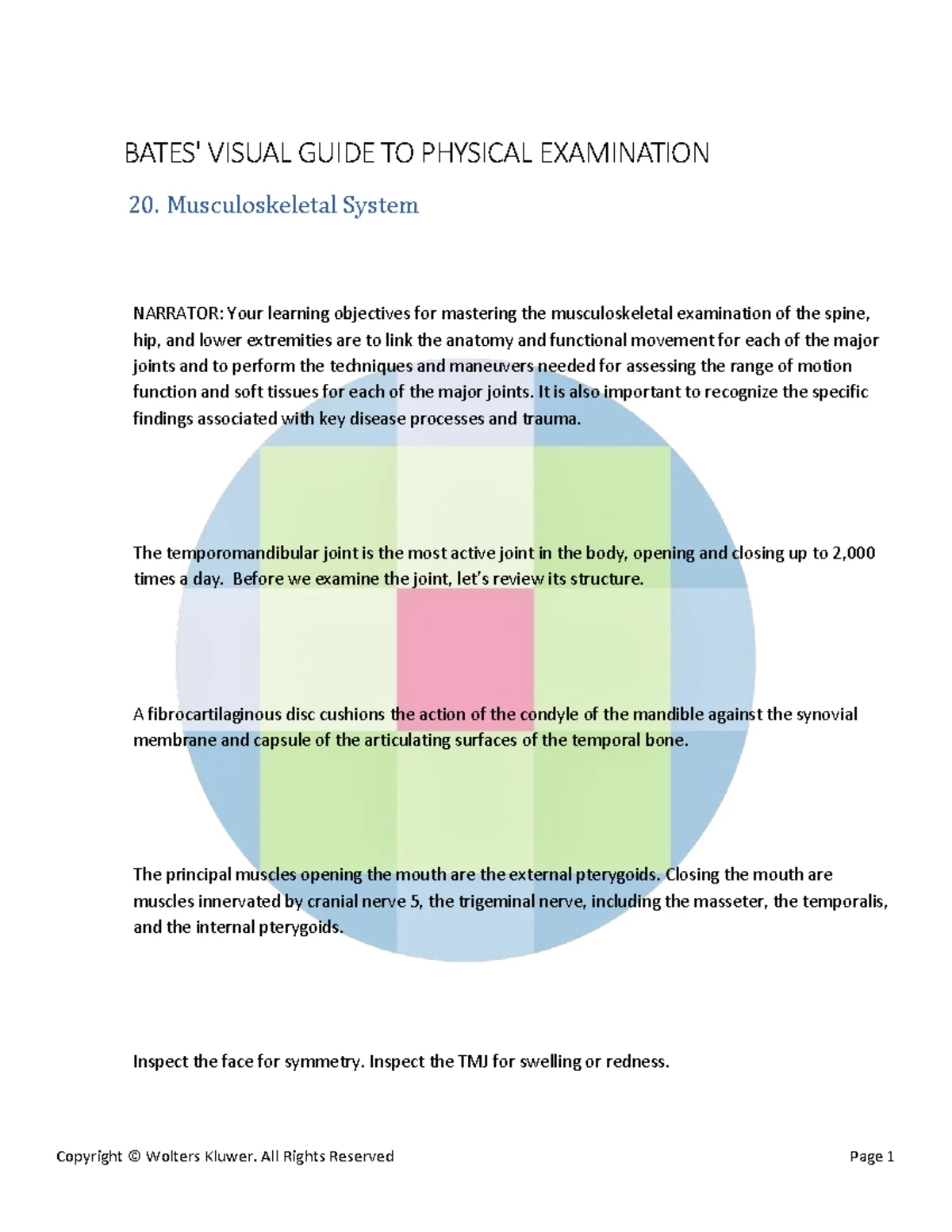 Cranial Nerves Study Guide: Assessment Techniques and Tests - Studocu