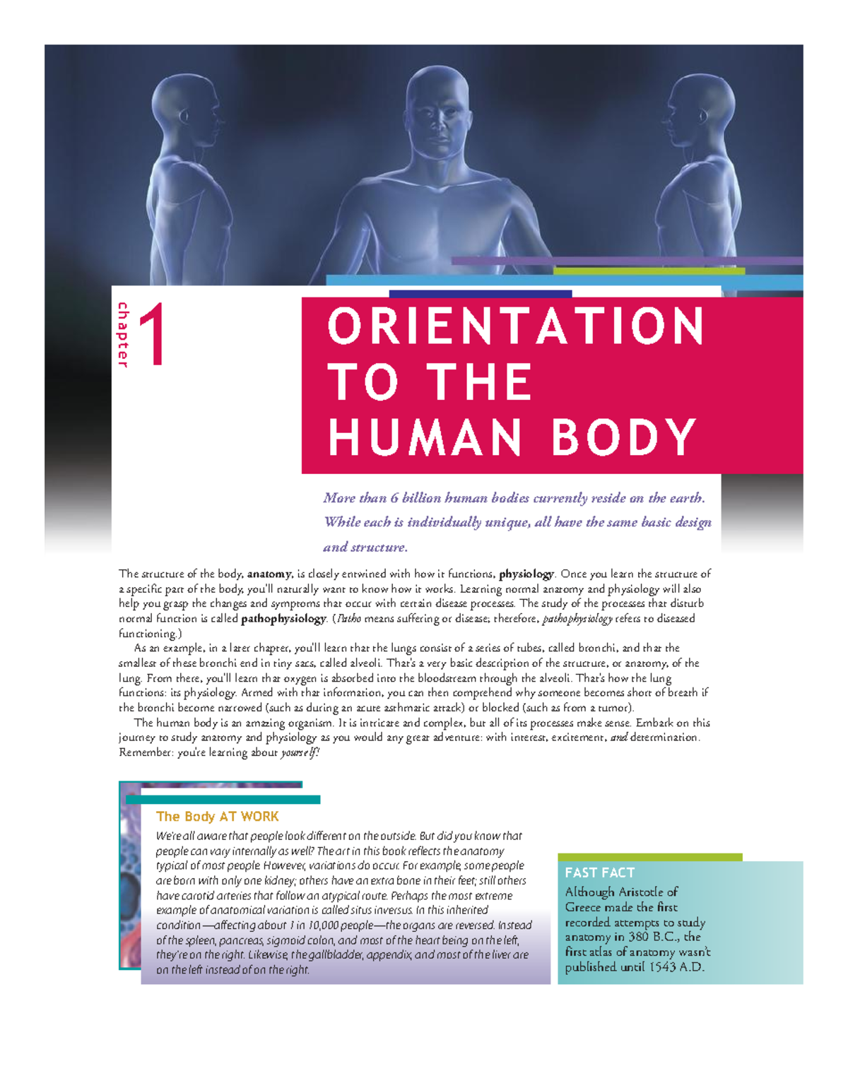 ANATOMY 101: Chapter 1 - Orientation to the Human Body - Studocu