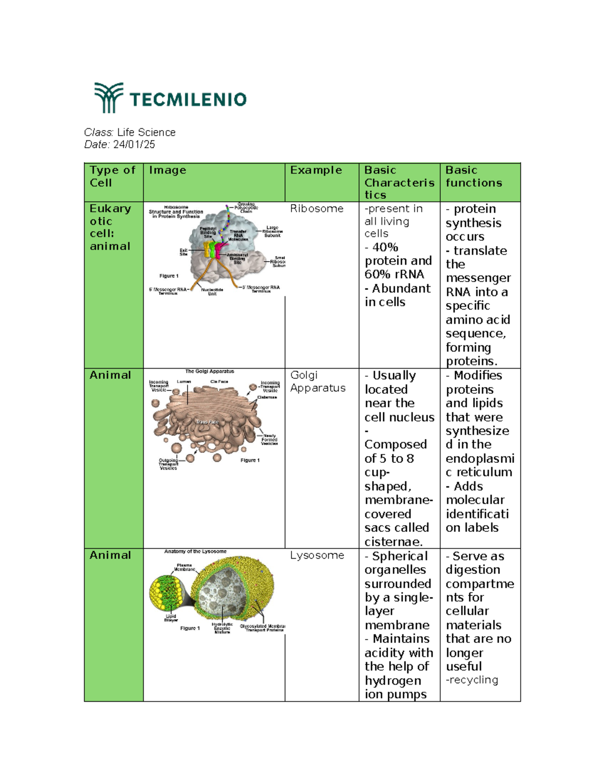 Exercise 3 Life Science - Class: Life Science Date: 24/01/ Type of Cell ...