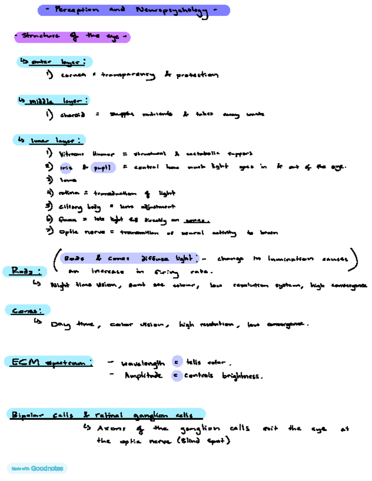 Psych 111: Neuropsychology of Vision and Auditory Perception Insights ...
