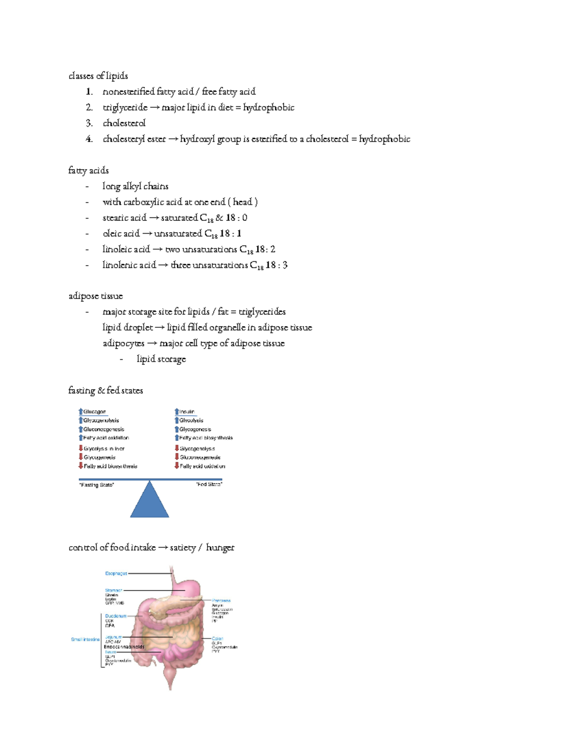 Fatty acid metabolism - lecture notes - classes of lipids 1 ...