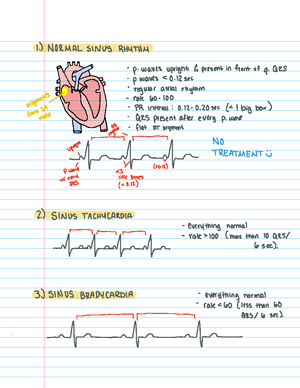 Exam 3 Nutriton Study Guide - Ch 45 Nutrition Study Guide Basal ...
