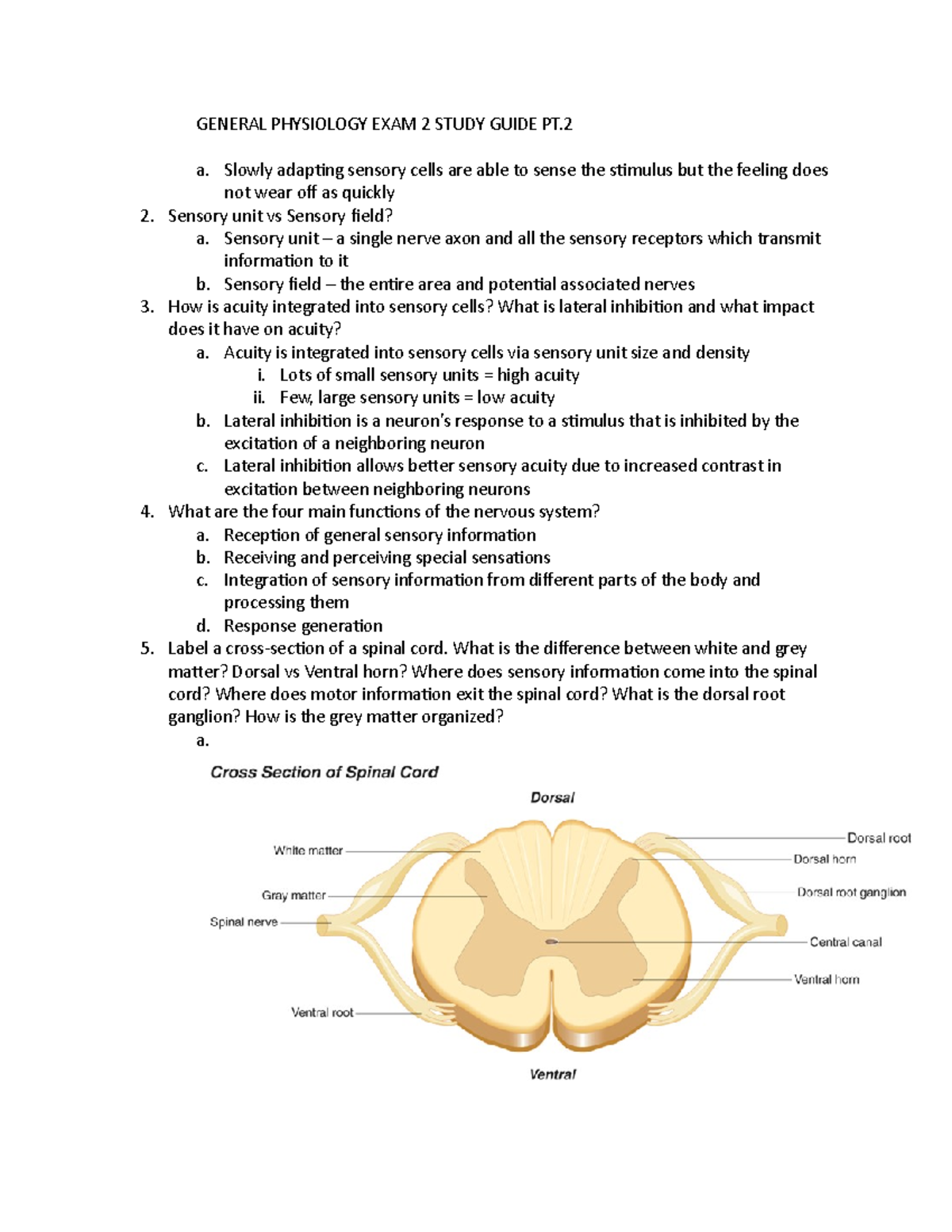 Exam 2 Study Guide 2 - Exam 2 - GENERAL PHYSIOLOGY EXAM 2 STUDY GUIDE ...