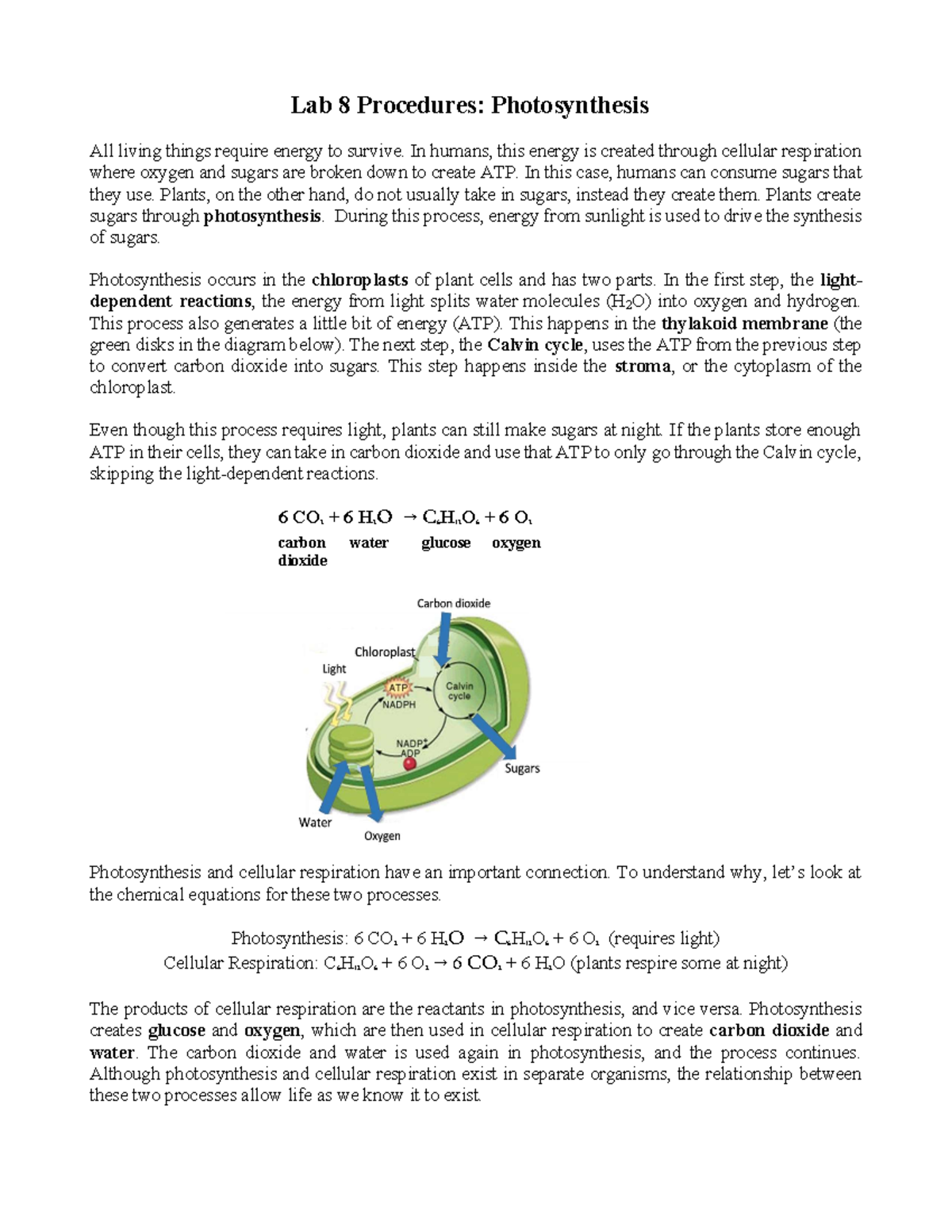 Lab 8 Procedures: Understanding Photosynthesis Mechanisms - Studocu