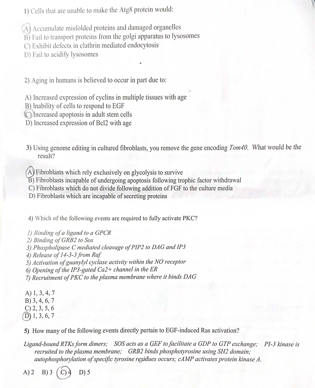 Cell Biology 2023 Final Exam Study Guide - Studocu