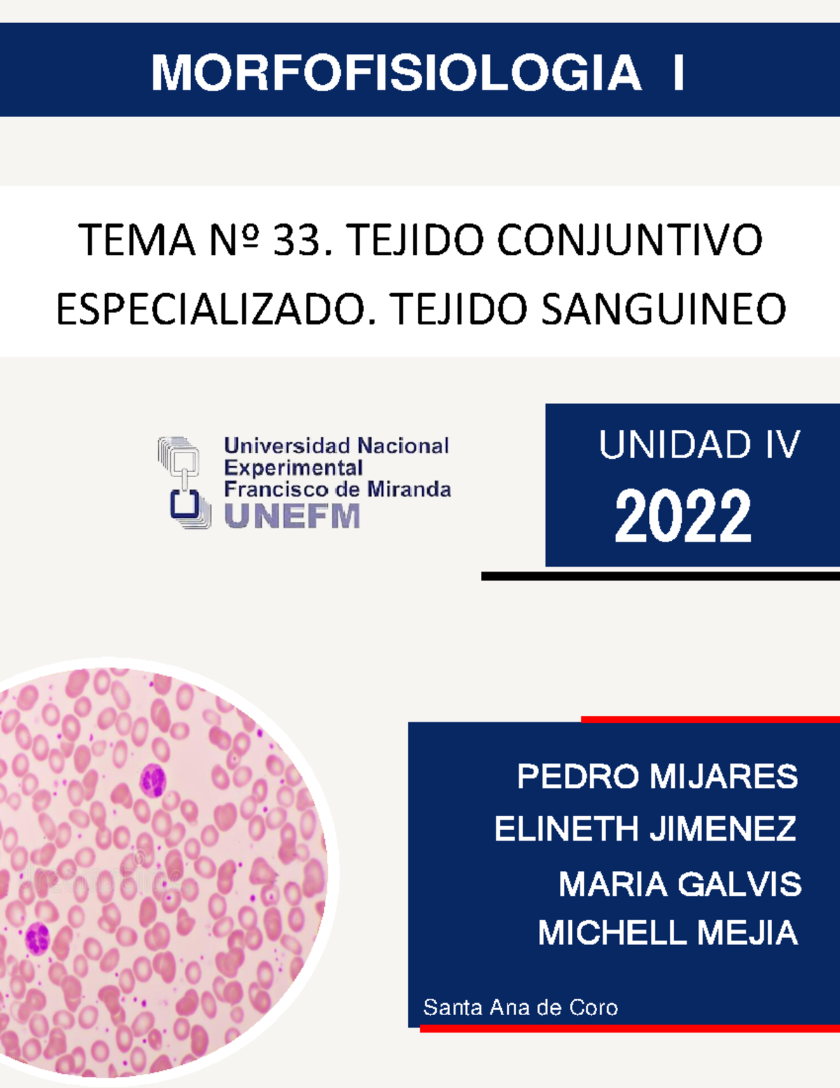 TEMA 33: Tejido Conjuntivo Especializado - Tejido Sanguíneo (MORFO I) - Document Preview