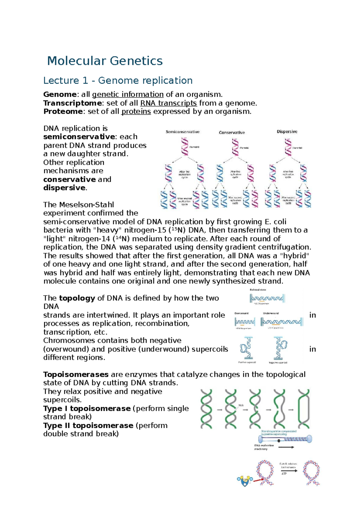 Molecular Genetics Lecture 1: Genome Replication and DNA Repair ...