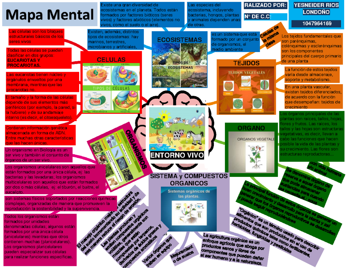 Mapa Mental de Conceptos Clave del Entorno Vivo - GA1-2202015 - Studocu