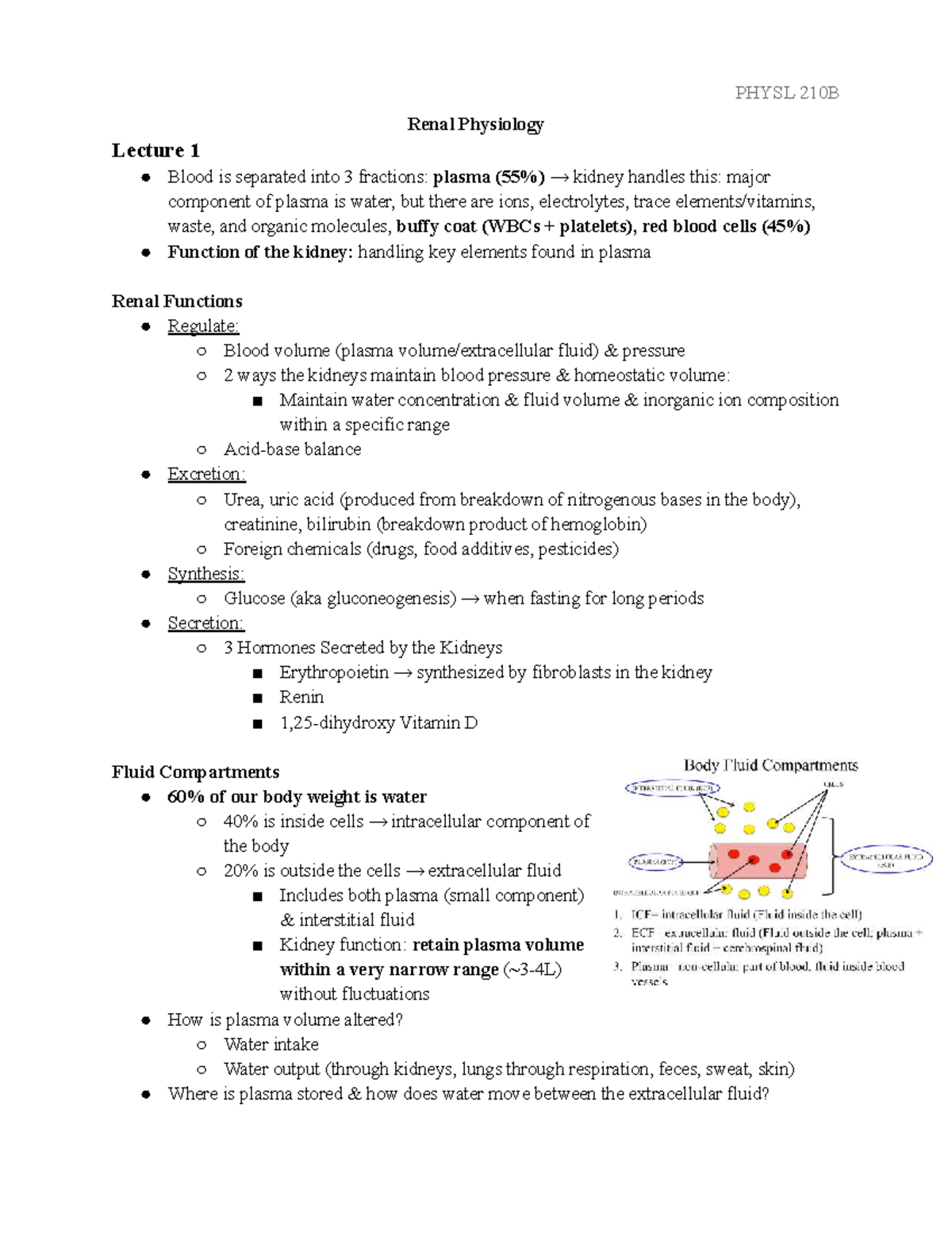 PHYSL 210B Renal Physiology Lecture 1: Blood Fractions & Kidney ...