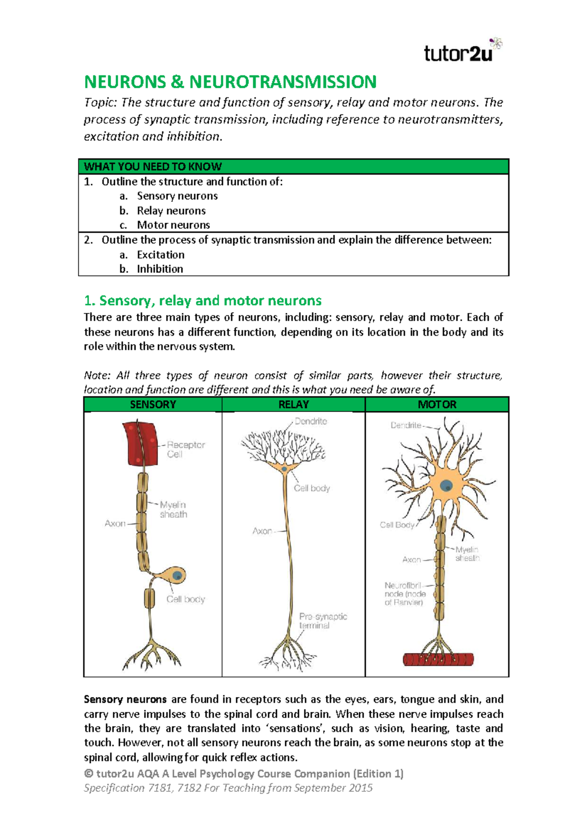AQA A Level Psychology: Neurons & Neurotransmission Overview - Studocu