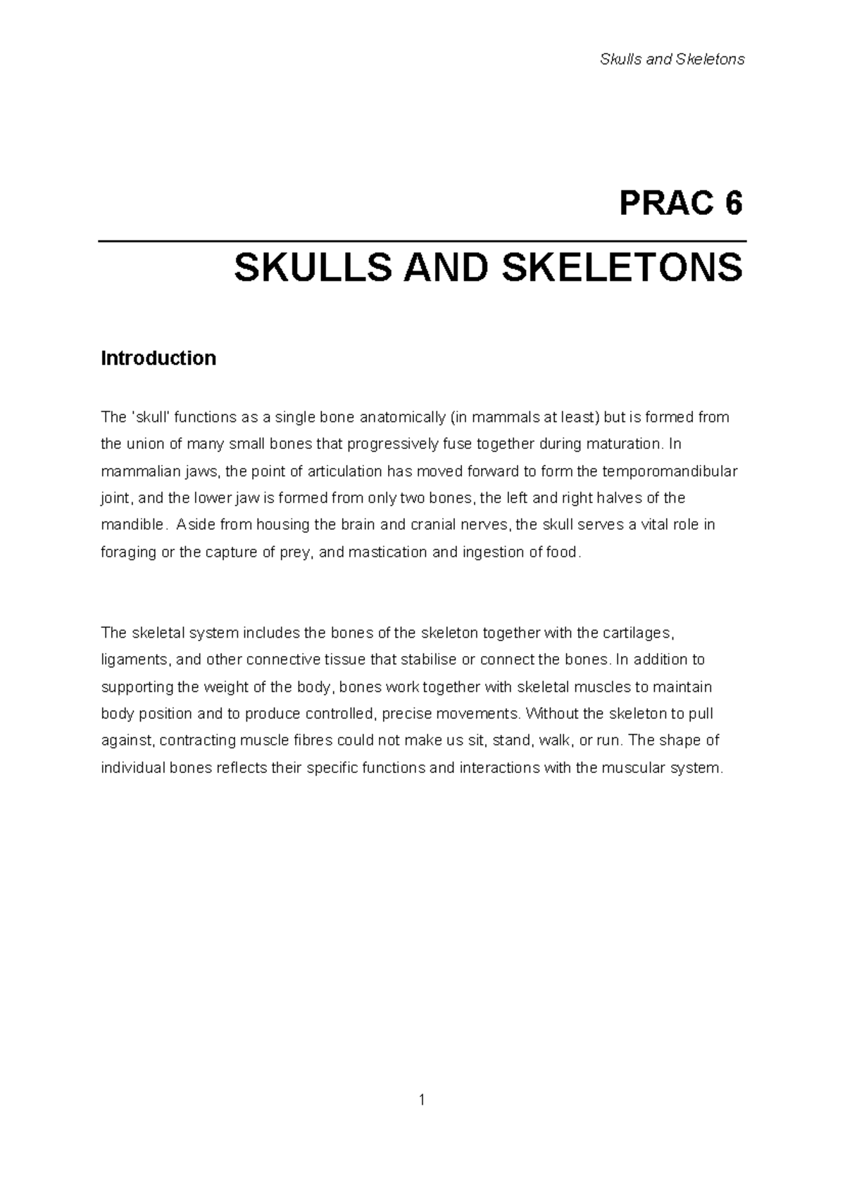 06 Skeletons and Skulls 2026 Lab Manual: Comprehensive Guide - Studocu