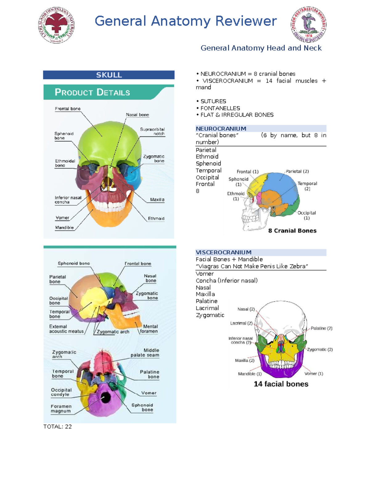 General Anatomy Reviewer: Head and Neck Structures and Functions - Studocu