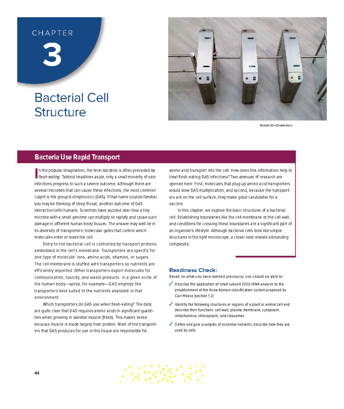 CHAPTER 3: Bacterial Cell Structure and Function in Microbiology - Studocu