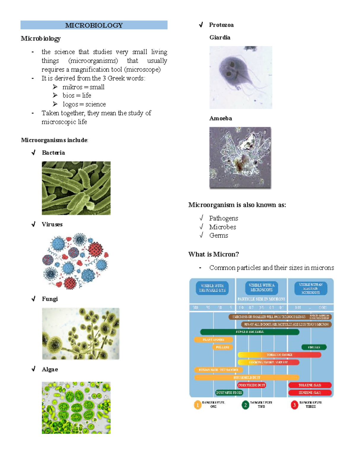 MICROBIOLOGY 101: Comprehensive Review of Microorganisms and Their ...