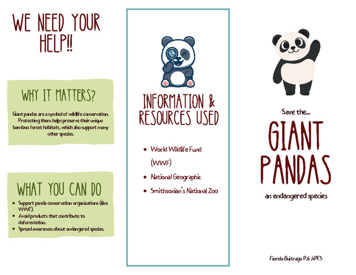 Giant pandas Info endangered species - GIANT PANDAS Save the... an ...