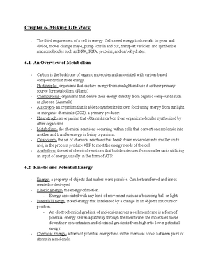 LS 7A Chapter 8: Overview of Photosynthesis and Its Mechanisms - Studocu