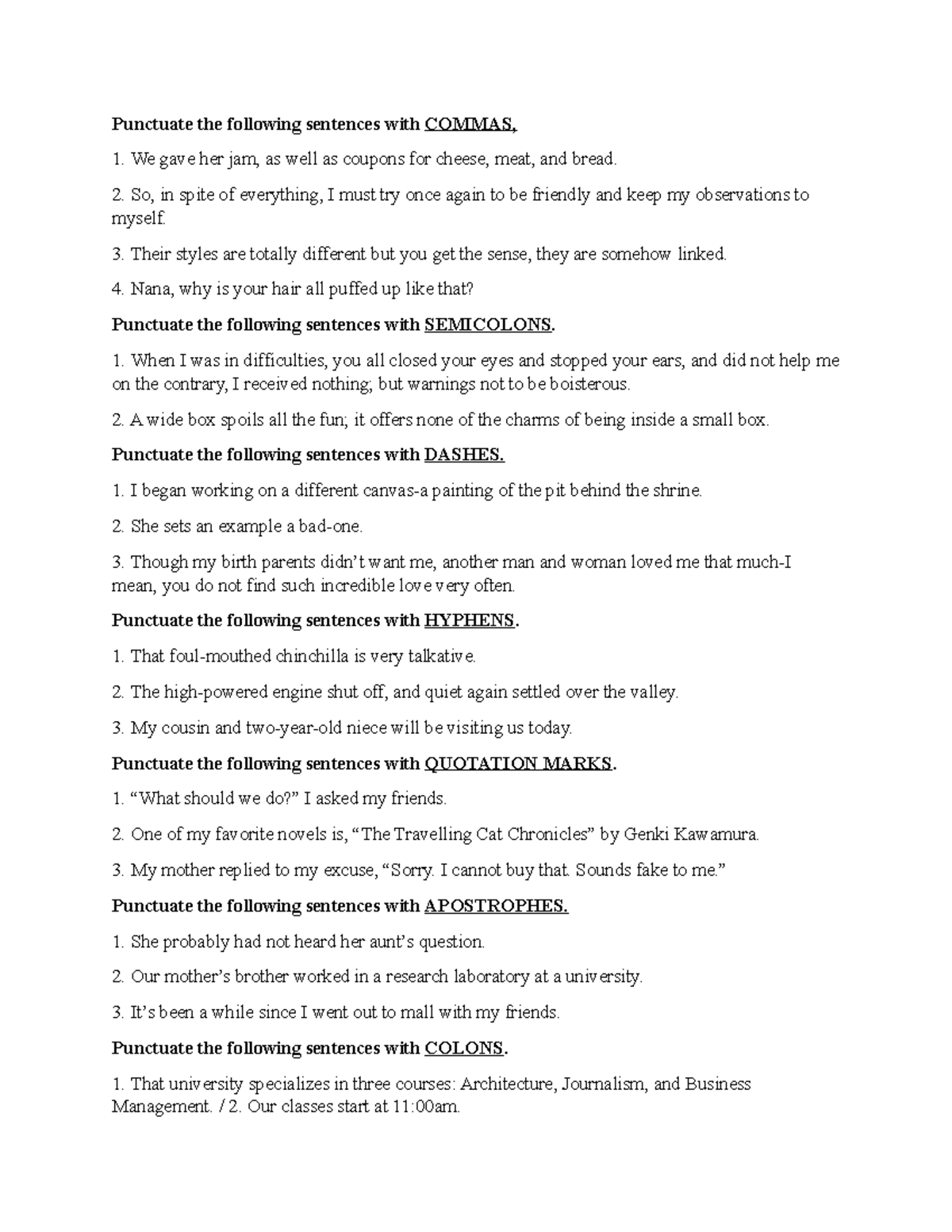 Punctuation Marks Exercise - Punctuate the following sentences with ...