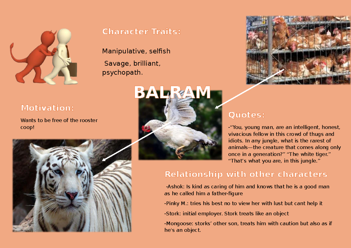 Balram Infographic: Character Traits & Motivations Analysis - Studocu