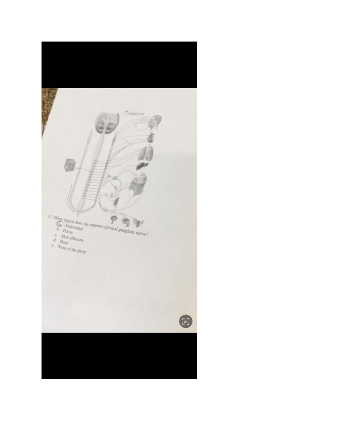 Chapter 15: Autonomic Nervous System Study Guide (Course Code: ANS100 ...