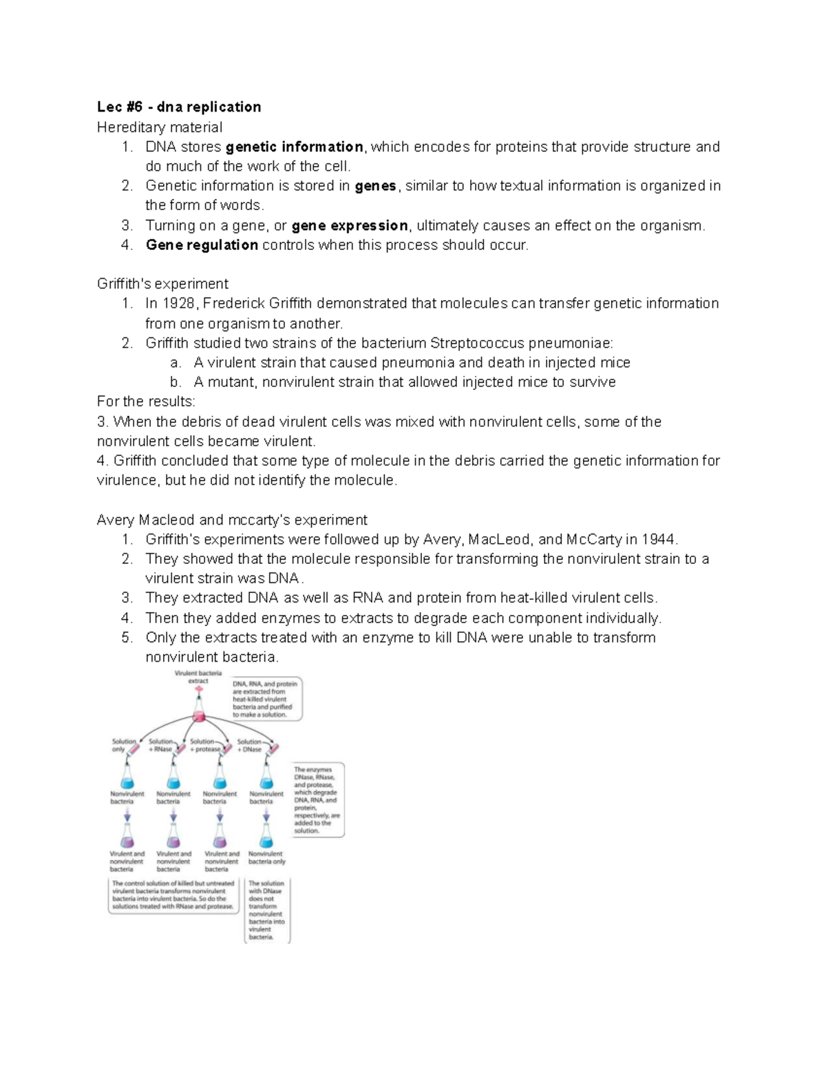 Genetics Lec #6: DNA Replication, Cell Division, and Gene Regulation ...