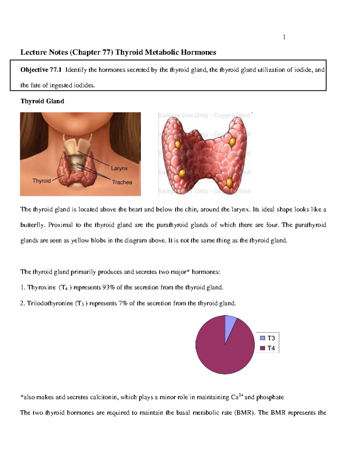 EXCI360 Lecture Notes: Thyroid Metabolic Hormones Overview (Chapter 77 ...