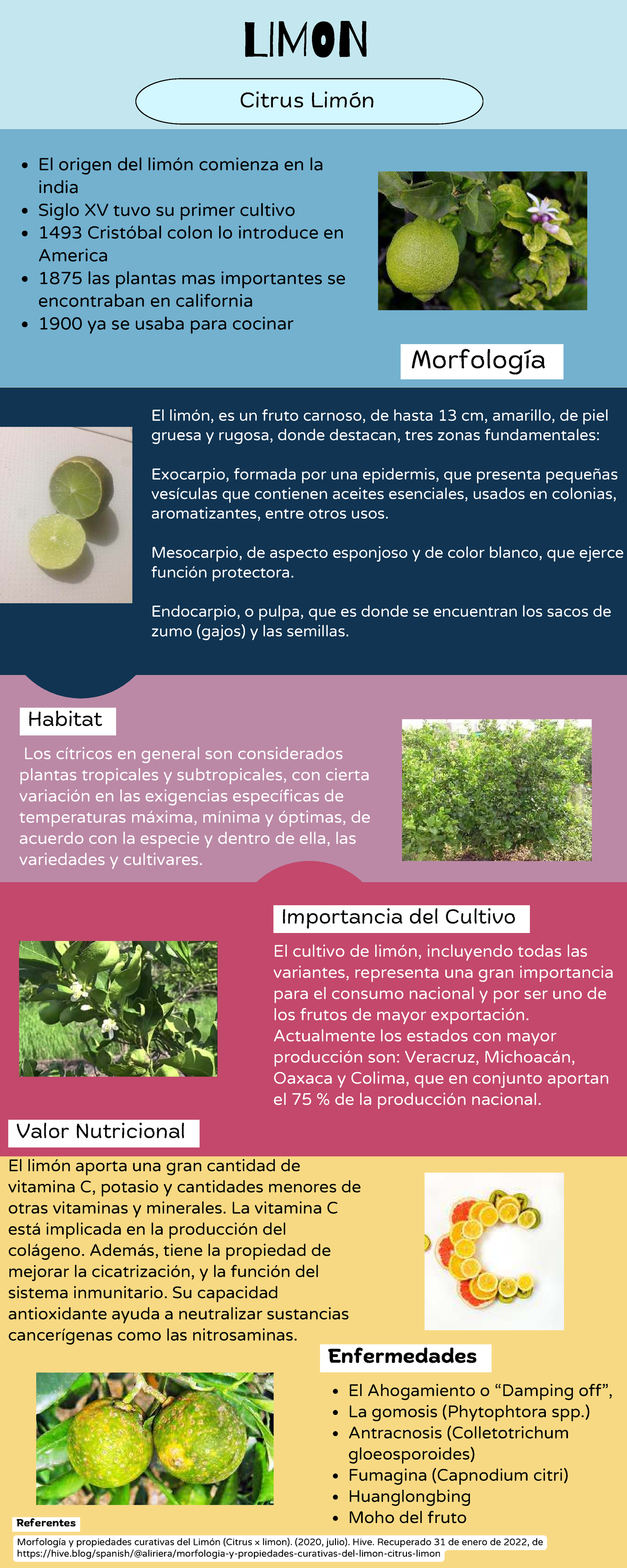 LIMON Citrus Limón: Origen, Morfología y Cultivo del Limón - Studocu
