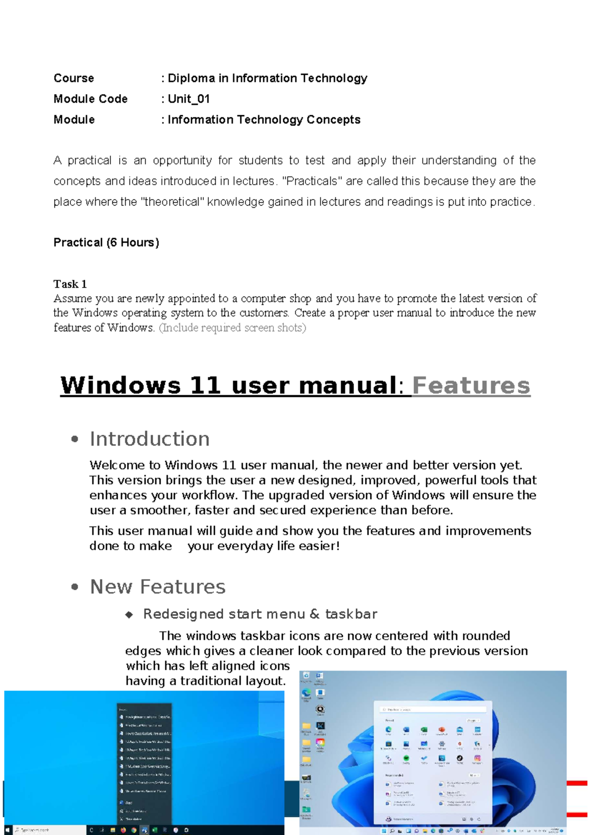 Diploma in IT: Lesson 1 Practical 1 - Windows 11 User Manual Guide ...