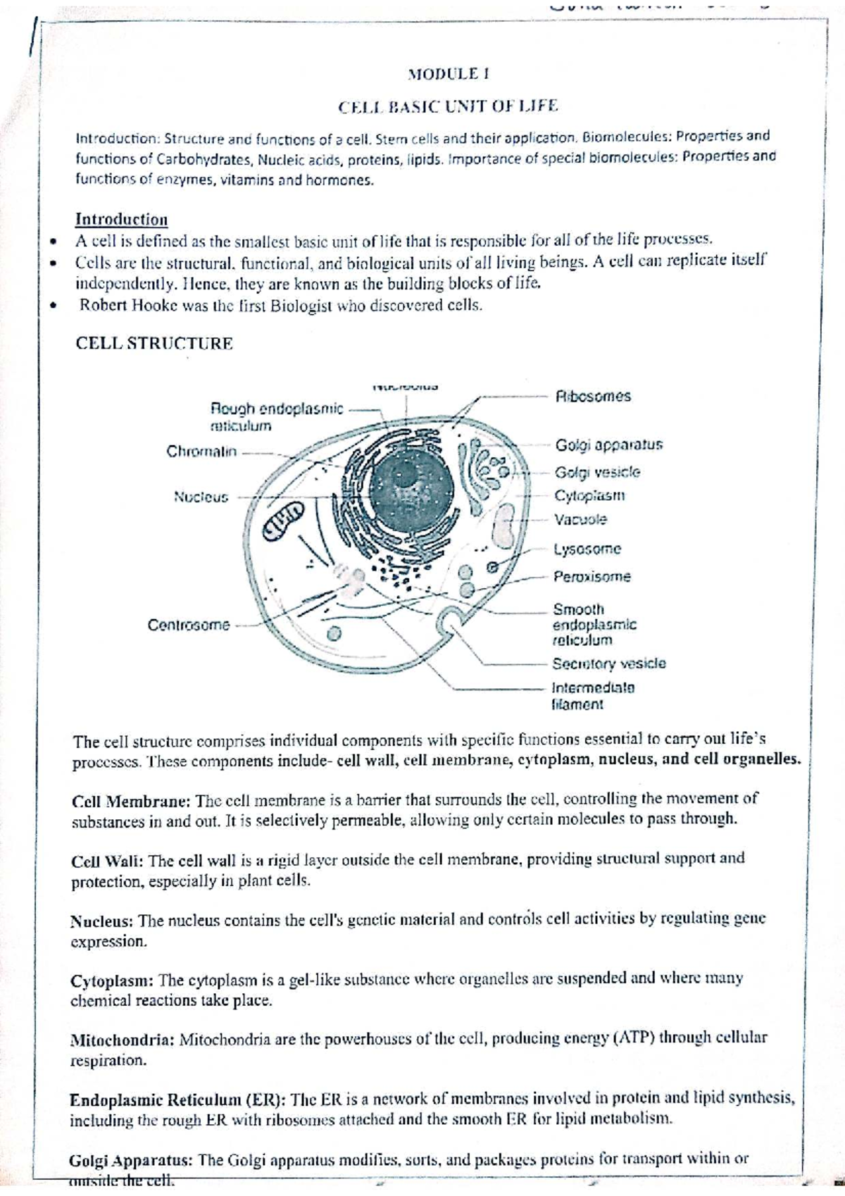 BIO 101: Module 1 - Cell Structure, Functions & Biomolecules Overview ...