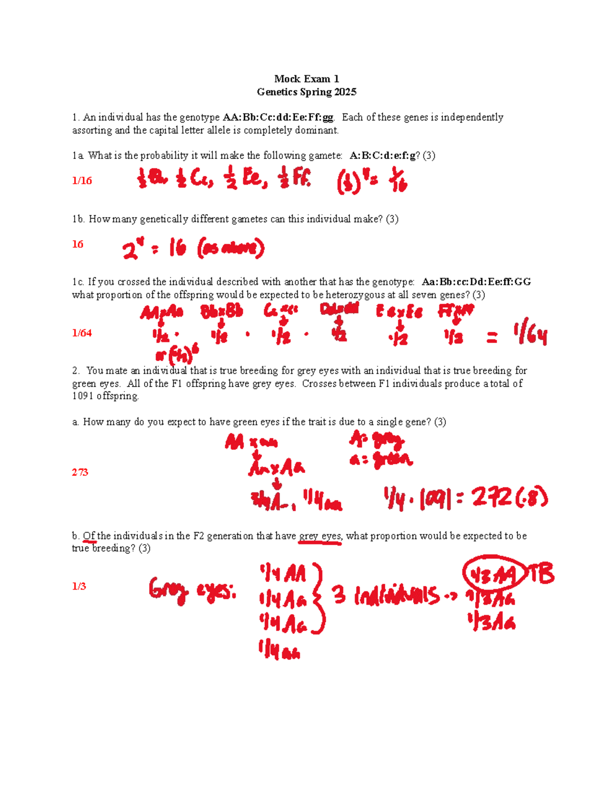 Mock Exam 1 Genetics Spring 2025 - Answer Key and Study Guide - Studocu