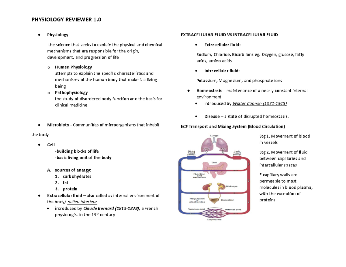 Physiology 101: Chapter 1 Overview & Key Concepts for Review - Studocu