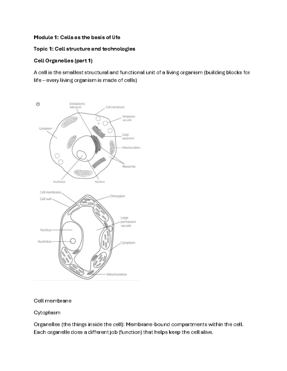 Cell Bio 101: Module 1 - Structure, Function & Transport Mechanisms ...