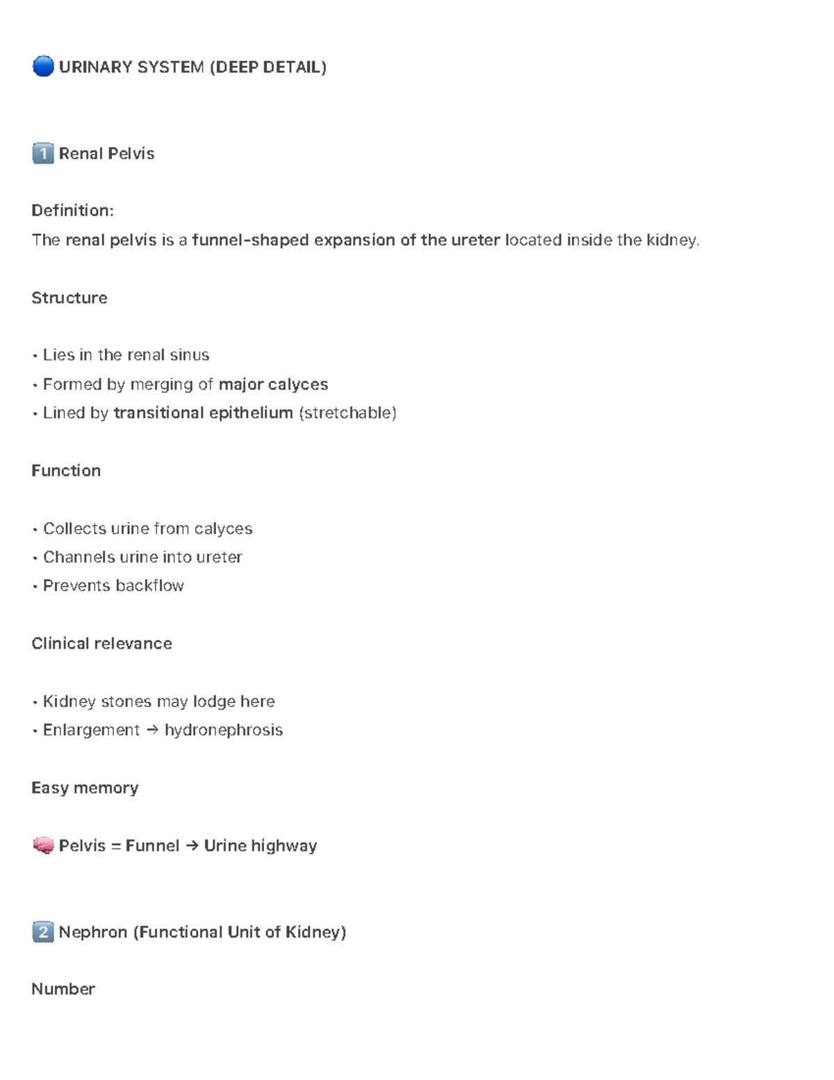 Urinary System (BIO 101) Final Exam Study Notes - Studocu