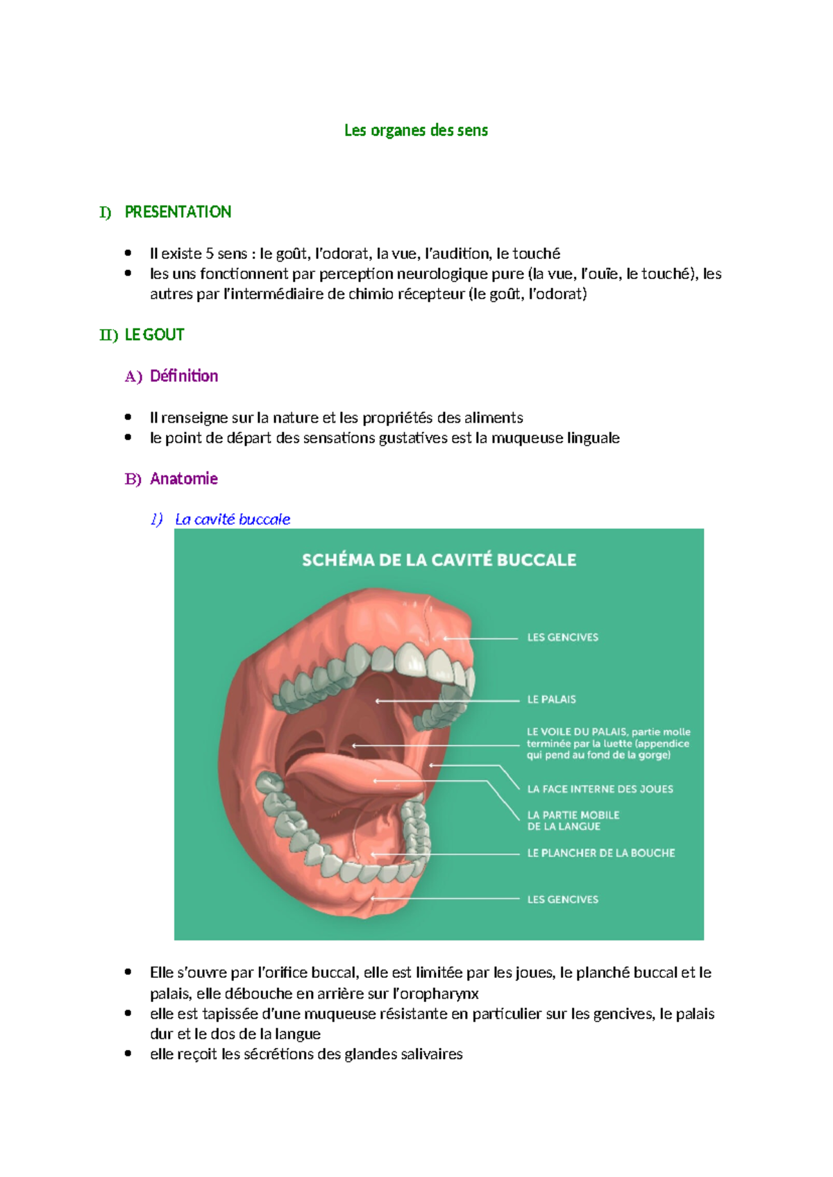 Les organes des sens - Cours de Biologie (BIOL101) - Studocu