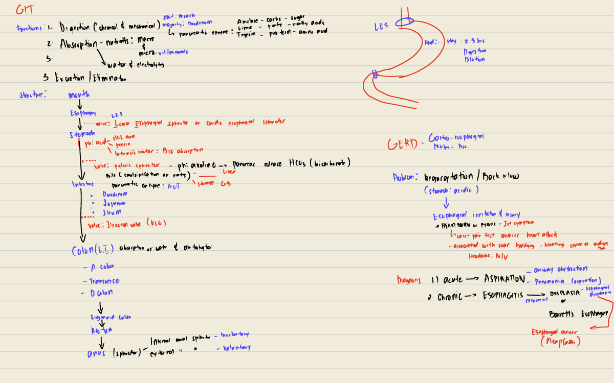 GIT Functions and Disorders: A Comprehensive Overview (Course Code: GIT ...