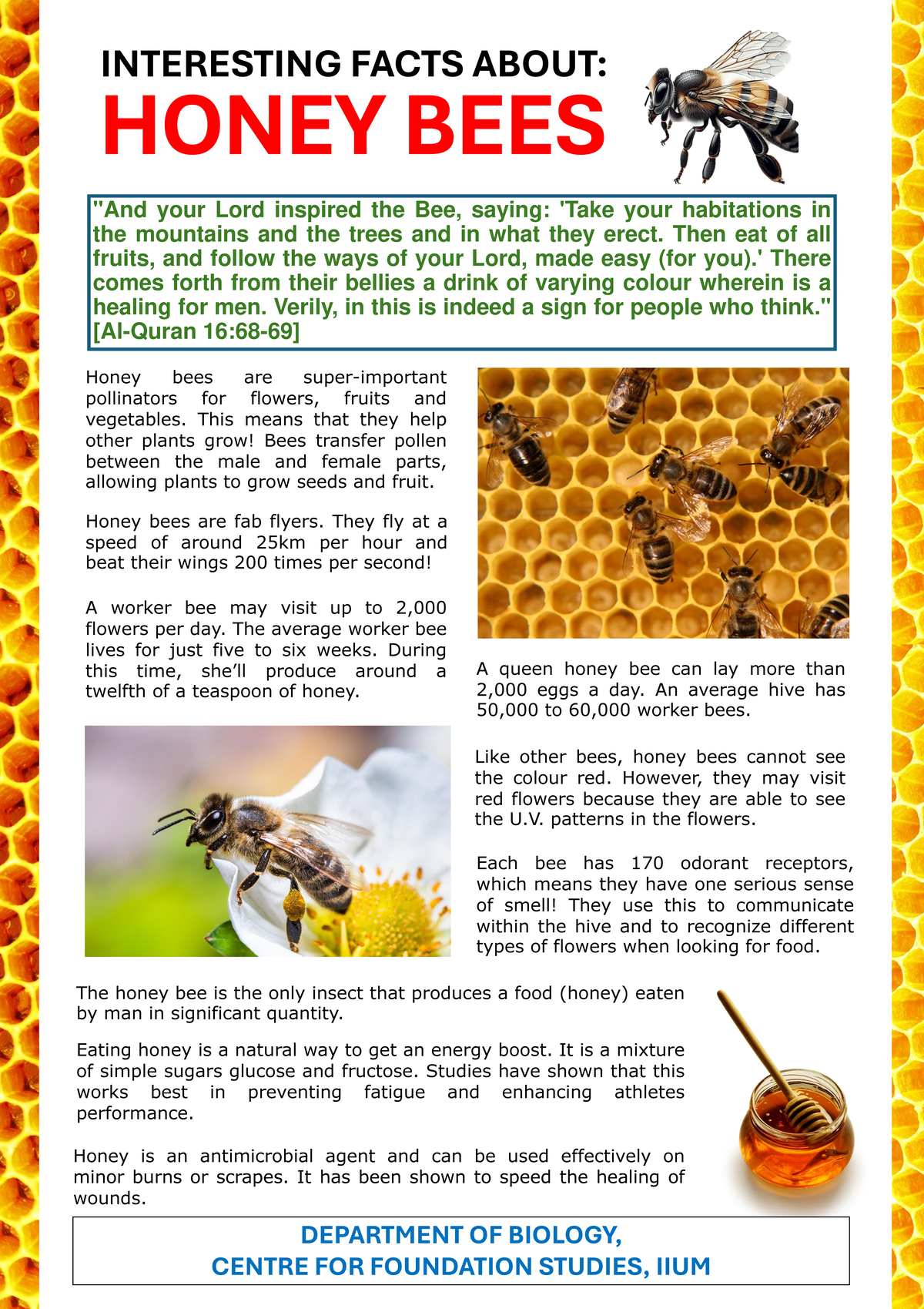 Interesting Facts About Honey Bees - BIO101 Lecture Notes - Studocu