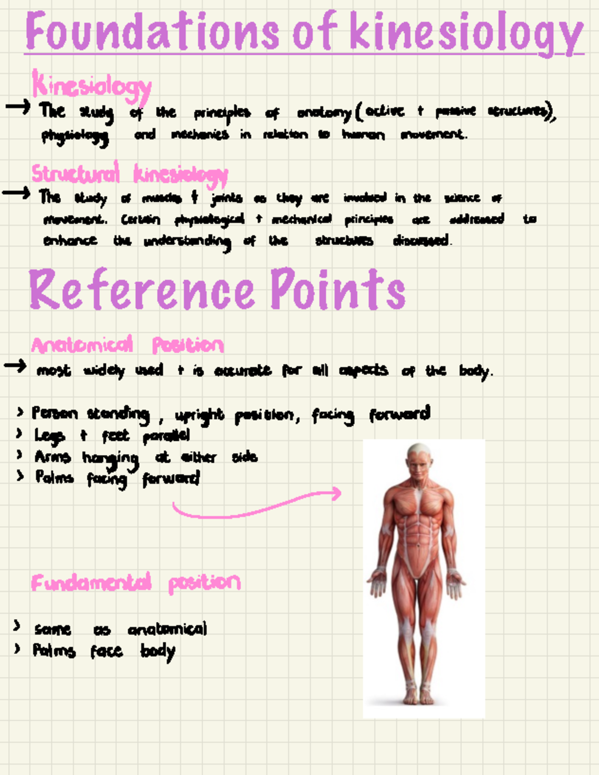 KINE 101 - Comprehensive Kinesiology Notes from Slides & Textbook - Studocu