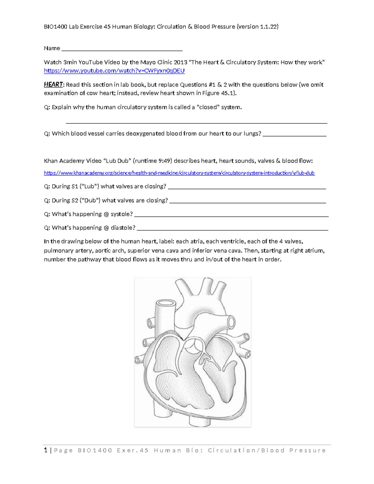 Bio 1400 Lab 1 Worksheet: Heart, Blood Vessels & Circulatory System ...