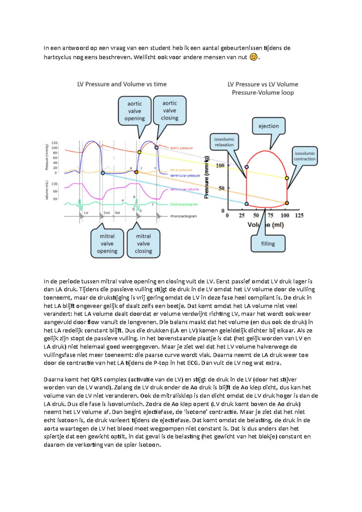 Cardiac Cycle Overview: Key Events and Phases Explained - Studeersnel