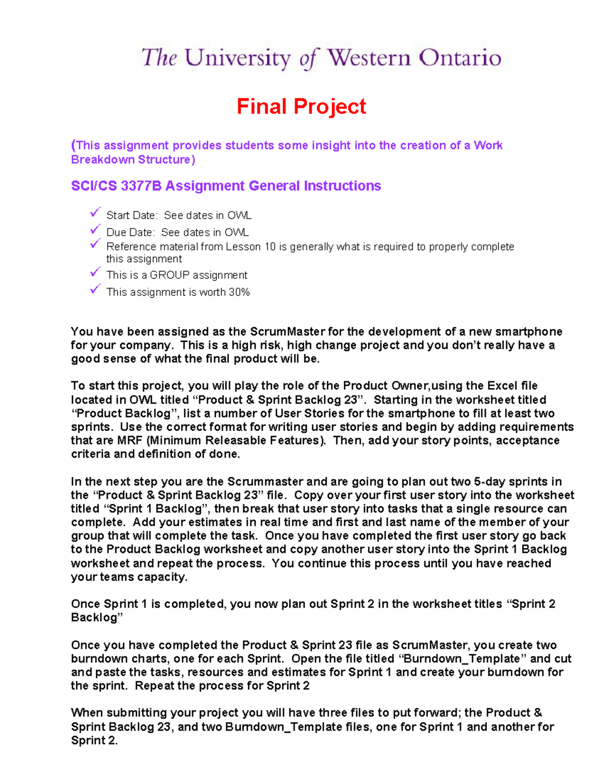 Final Project Instructions: Work Breakdown Structure for 3377B - Studocu